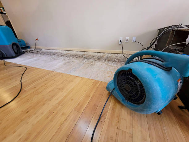 Professional Flood Damage Cleanup technician working in Dexter City, OH